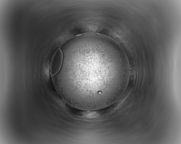 X0000088900334200706081310