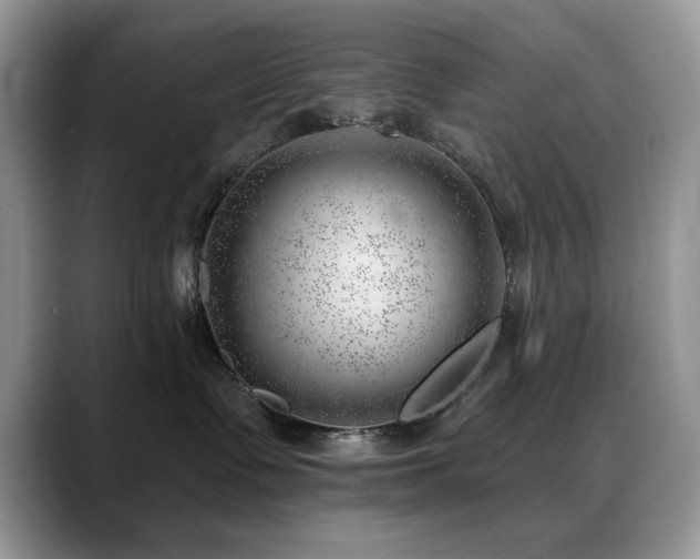 X0000088900335200706081310