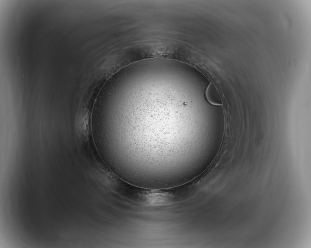 X0000088900336200706081310
