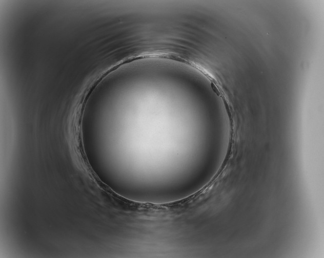 X0000088900337200706081310