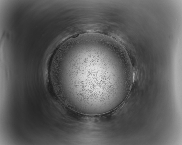 X0000088900339200706081310