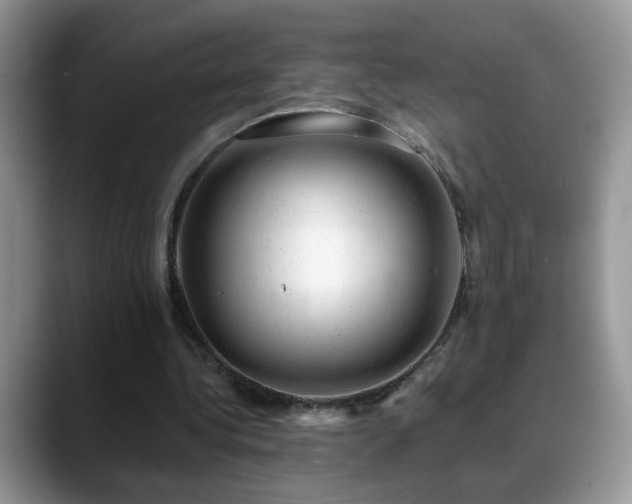 X0000088900340200706081310