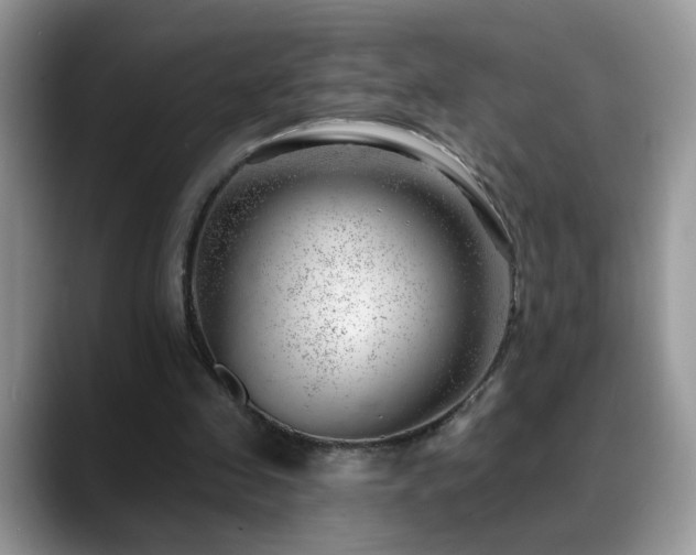 X0000088900341200706081310