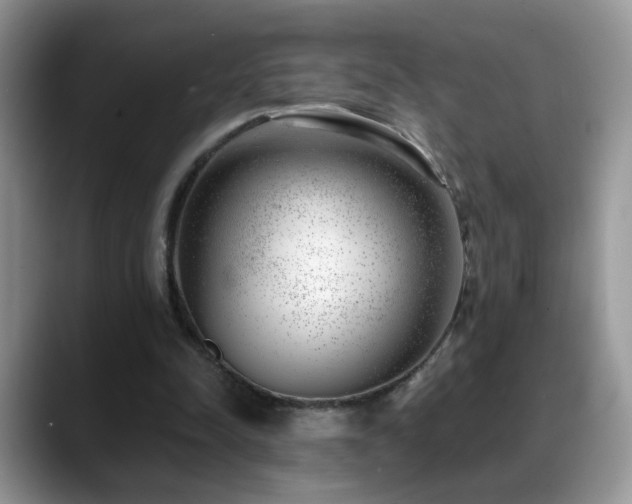 X0000088900342200706081310