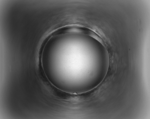 X0000088900344200706081310