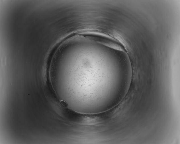 X0000088900346200706081310