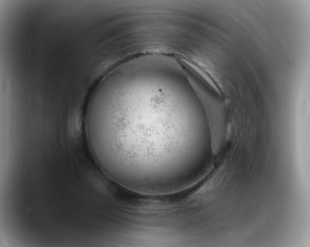 X0000088900347200706081310