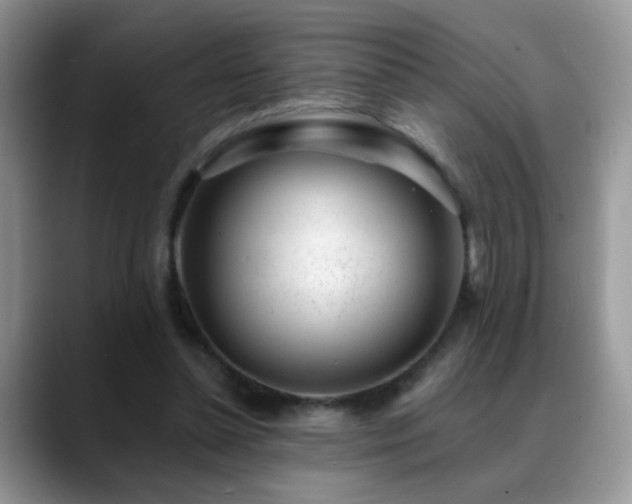 X0000088900348200706081310