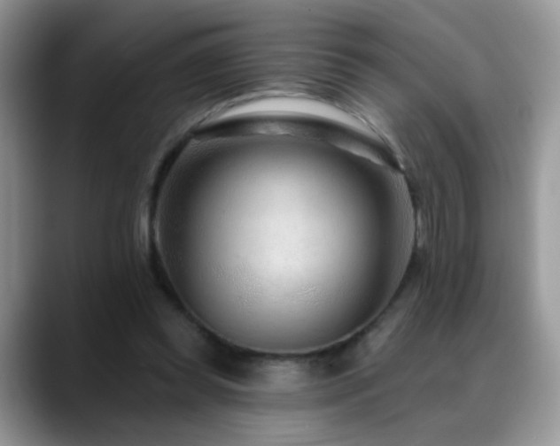 X0000088900349200706081310