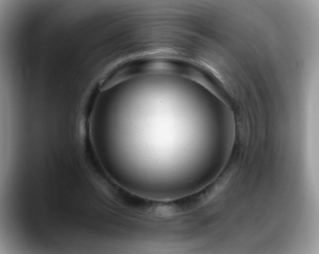 X0000088900350200706081310