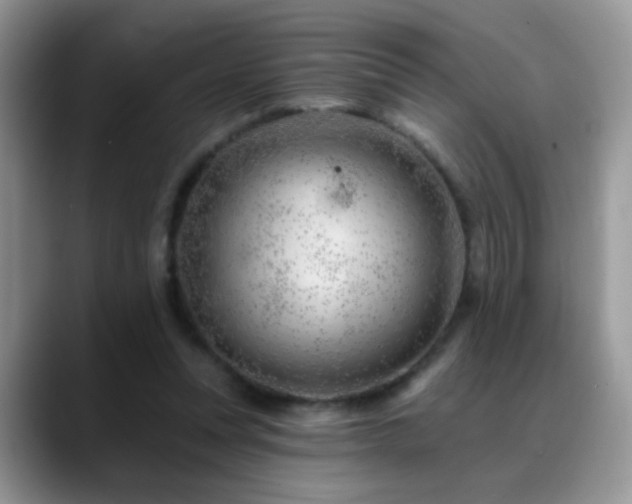 X0000088900351200706081310