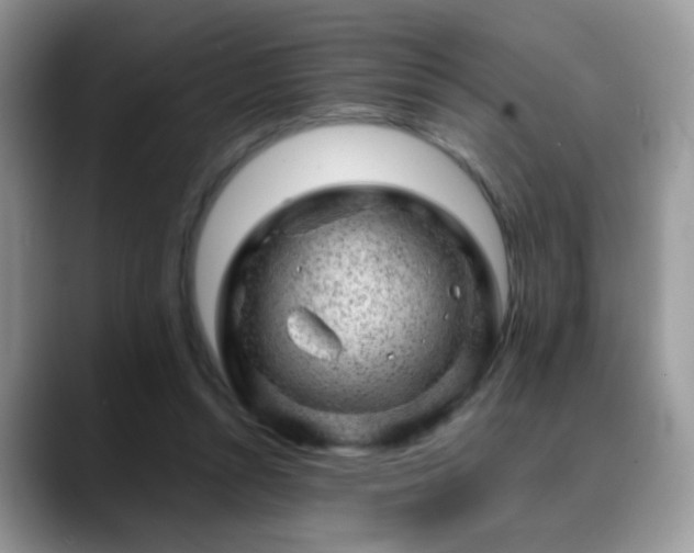 X0000088900352200706081310