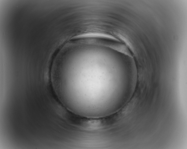 X0000088900353200706081310