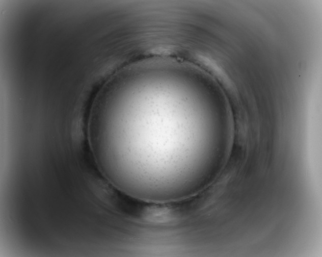X0000088900354200706081310