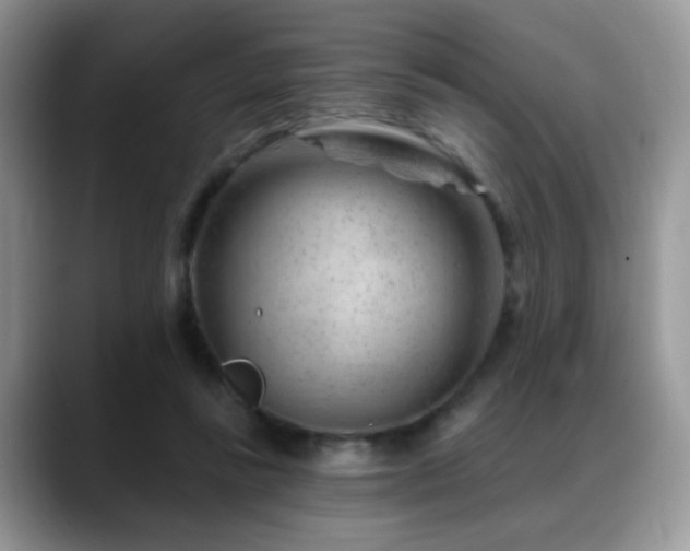 X0000088900355200706081310