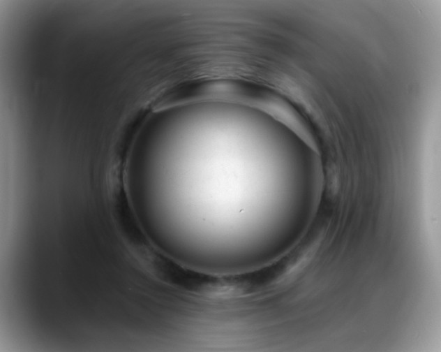 X0000088900356200706081310