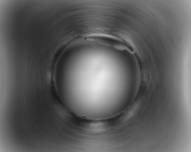 X0000088900357200706081310