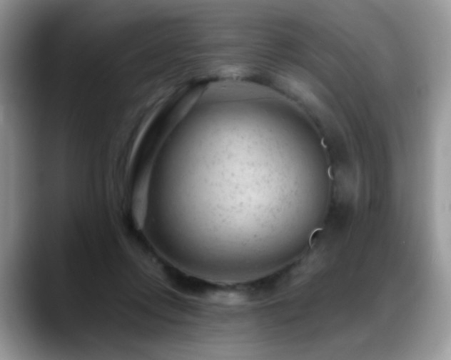 X0000088900358200706081310