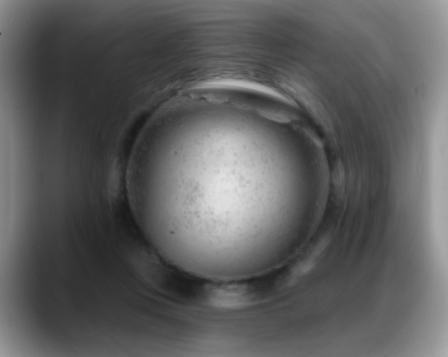 X0000088900359200706081310