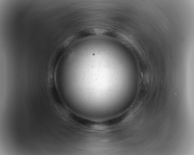 X0000088900360200706081310