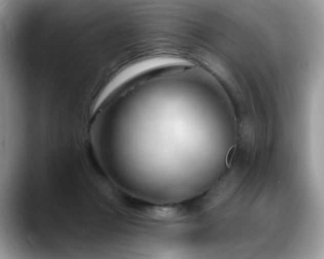 X0000088900361200706081310