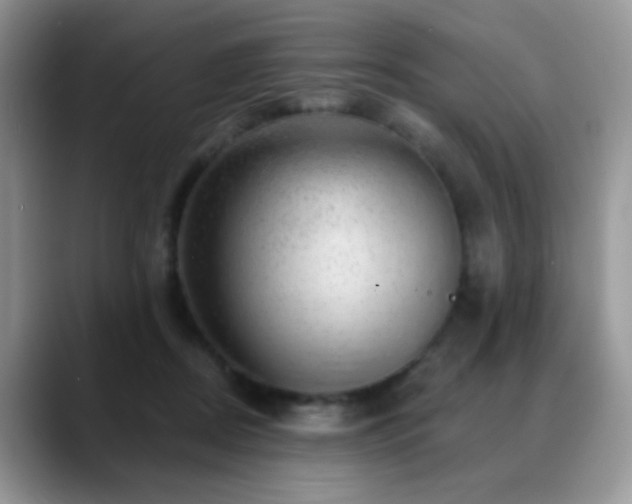 X0000088900362200706081310