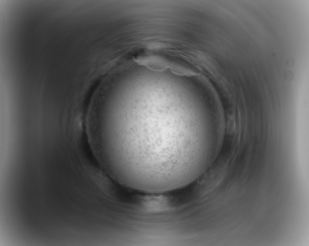 X0000088900363200706081310
