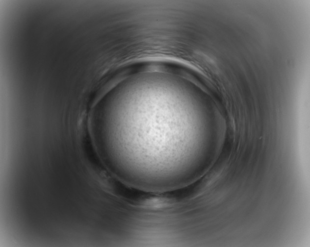 X0000088900364200706081310