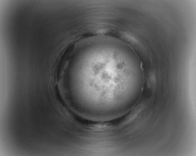 X0000088900366200706081310