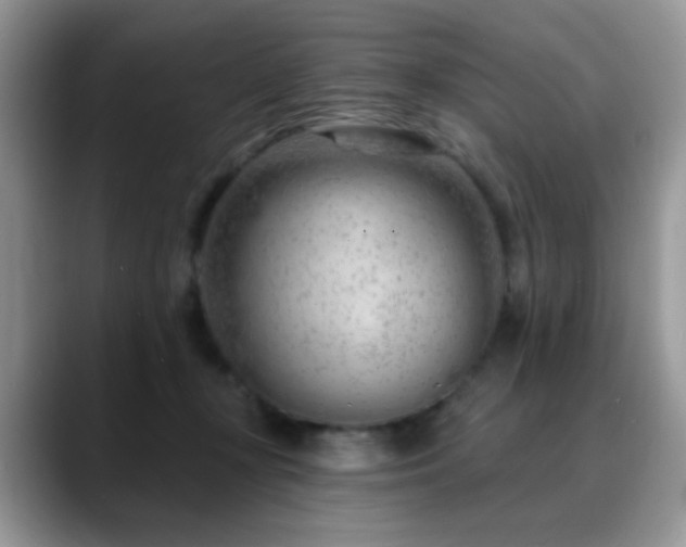 X0000088900367200706081310