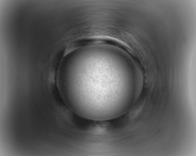 X0000088900368200706081310