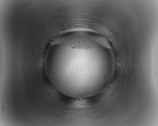 X0000088900369200706081310