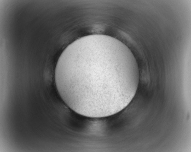 X0000088900370200706081310