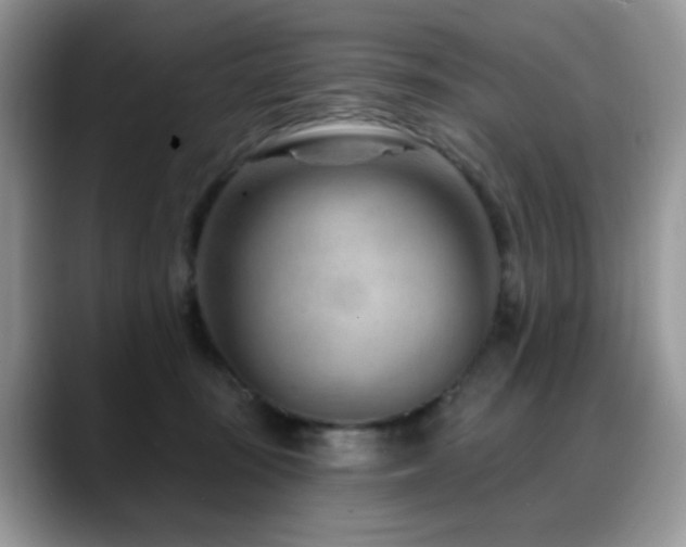 X0000088900371200706081310