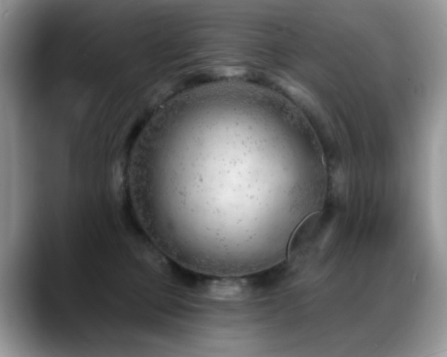 X0000088900373200706081310