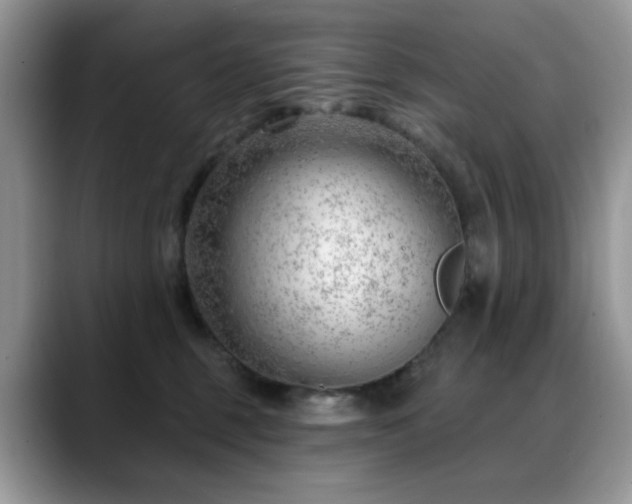X0000088900375200706081310