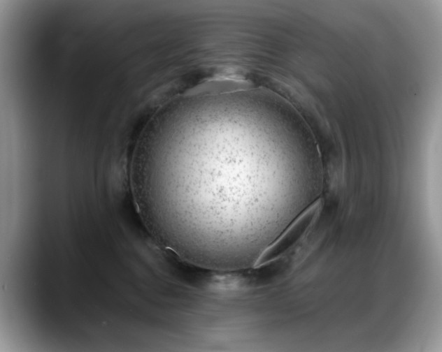 X0000088900376200706081310