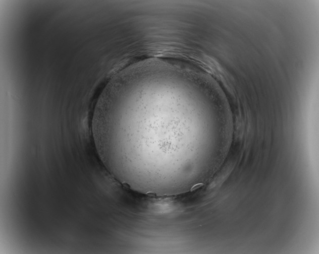X0000088900377200706081310