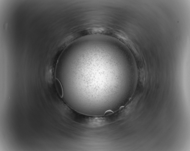 X0000088900378200706081310