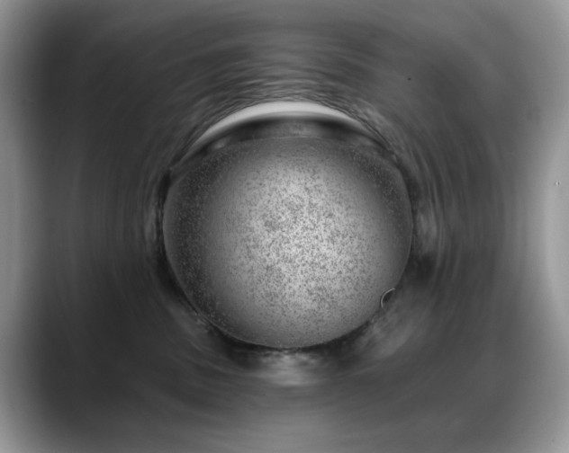 X0000088900379200706081310
