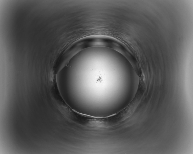 X0000088900380200706081310