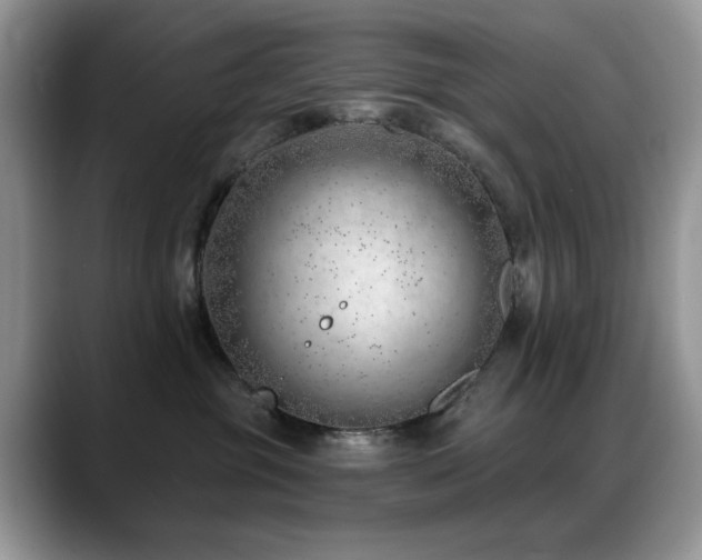 X0000088900381200706081310