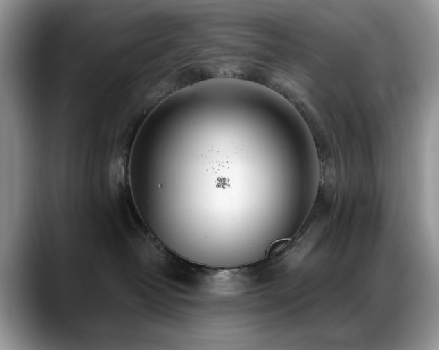 X0000088900382200706081310