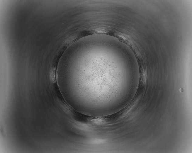 X0000088900383200706081310