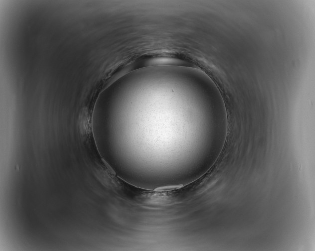 X0000088900384200706081310