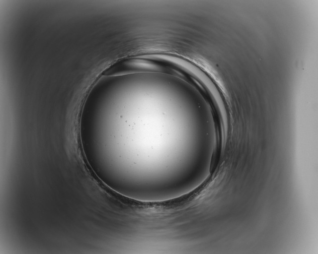 X0000088900385200706081310