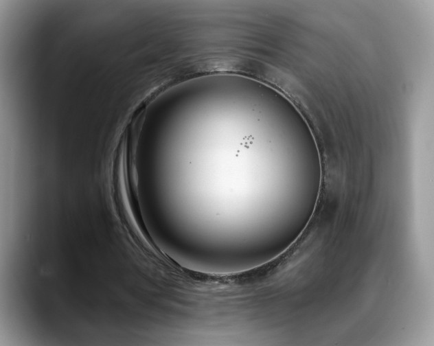 X0000088900386200706081310