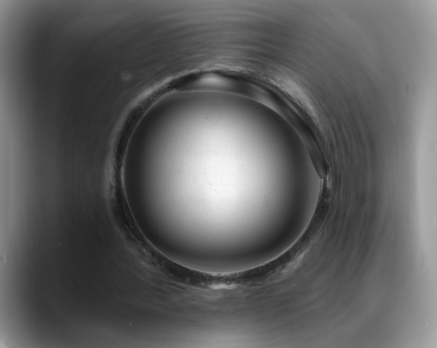 X0000088900388200706081310