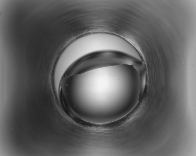 X0000088900389200706081310