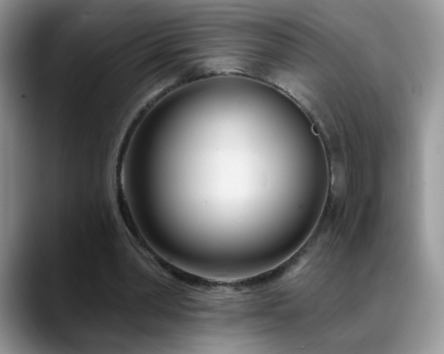 X0000088900390200706081310